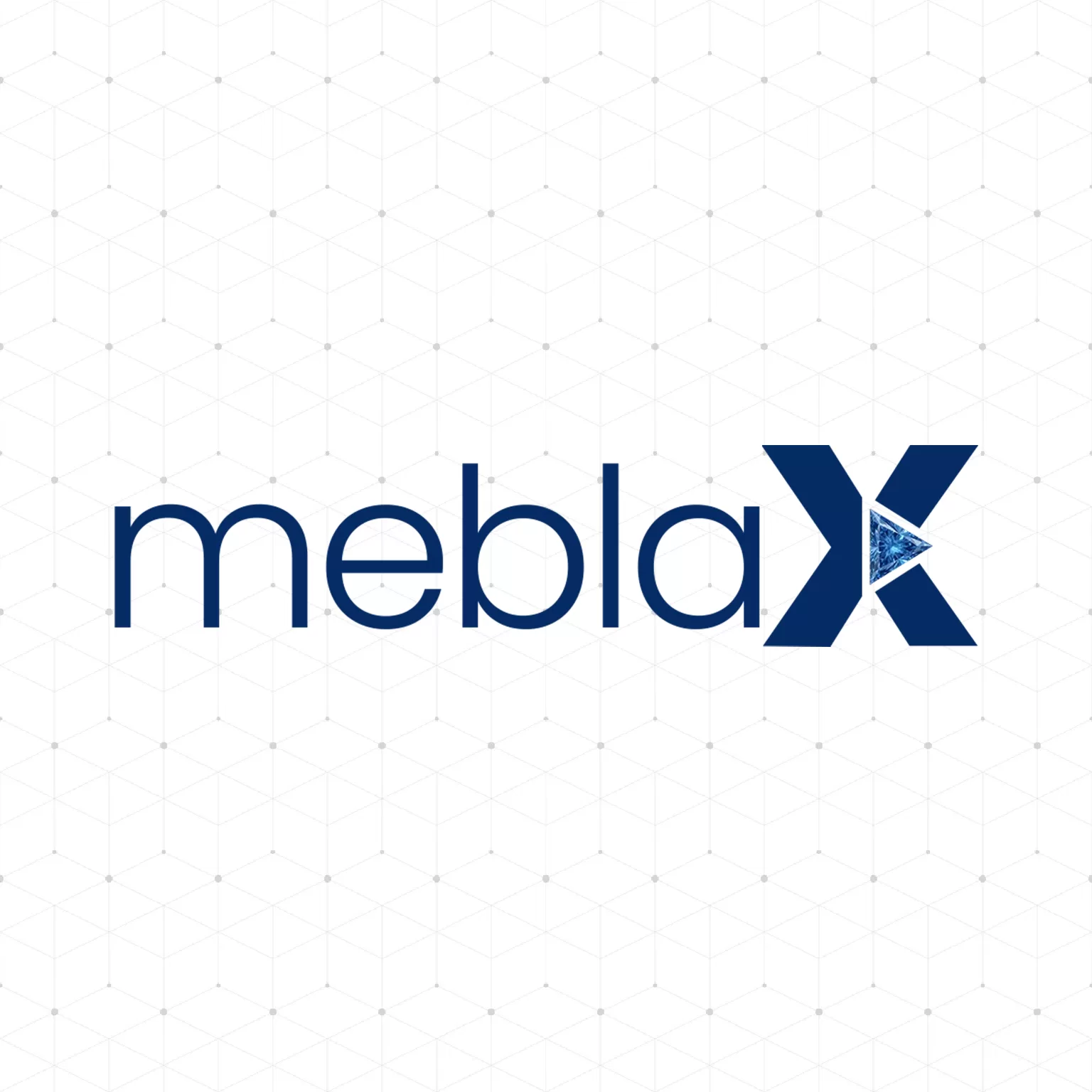 MeblaX - Muhasebe & Finans