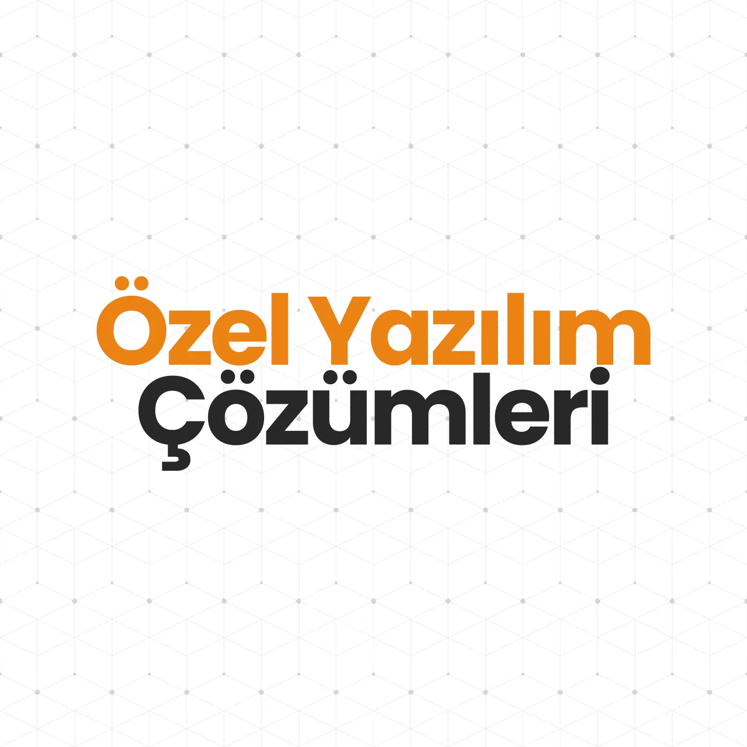 Şirketinize Özel Yazılım Çözümü