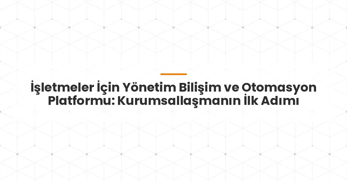 İşletmeler İçin Yönetim Bilişim ve Otomasyon Platformu: Kurumsallaşmanın İlk Adımı
