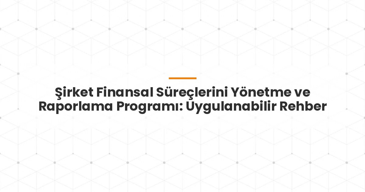 Şirket Finansal Süreçlerini Yönetme ve Raporlama Programı: Uygulanabilir Rehber